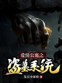 爱情公寓之盗墓系统的封面