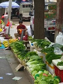 明年将发生神奇的4大变化的封面