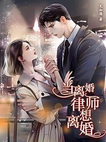 当离婚律师想离婚（短剧《盛律师的离婚前规则 》原著小说）的封面