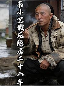 韦小宝假死隐居二十八年的封面