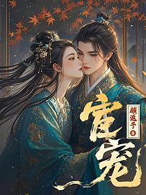 宦宠的封面
