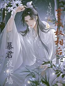 穿成权相后，喜提疯批暴君夜爬墙的封面