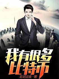 我有很多比特币的封面