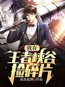 我在王者峡谷捡碎片的封面