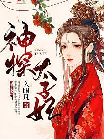 神探太子妃的封面