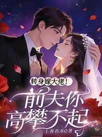 转身嫁大佬！前夫你高攀不起的封面