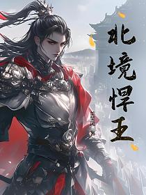 北境悍王的封面