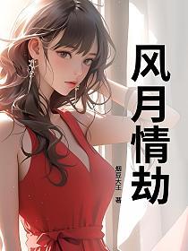 风月情劫的封面