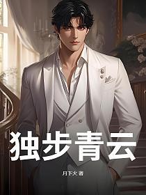独步青云的封面