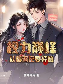 权力巅峰从借调纪委开始的封面