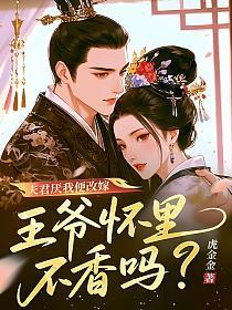 夫君厌我便改嫁，王爷怀里不香吗？的封面