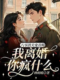 八零渣夫宠青梅,我离婚你疯什么的封面