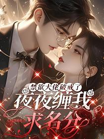 禁欲大佬破戒了，夜夜缠我求名分的封面