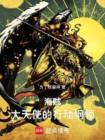 海贼：大天使的行动纲领的封面