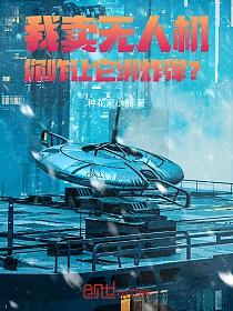 我卖无人机，你咋让它绑炸弹？的封面