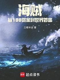 海贼：从100赏金到世界首富的封面