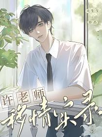 许老师移情实录的封面