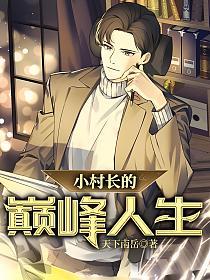 小村长的巅峰人生的封面