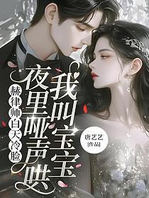 赫律师白天冷脸，夜里哑声哄我叫宝宝的封面