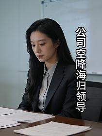 公司空降海归领导的封面