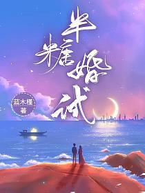 半糖婚试的封面