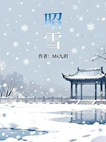 昭雪的封面