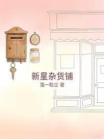 新星杂货铺的封面
