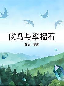 候鸟与翠榴石的封面