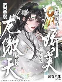穿成高冷龙傲天落魄时的娇美男妻的封面