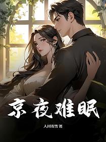 京夜难眠的封面