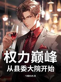 权力巅峰：从县委大院开始的封面