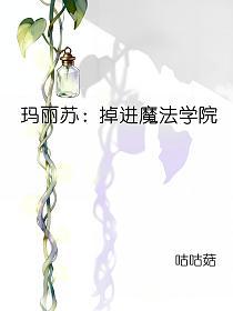 玛丽苏：掉进魔法学院的封面