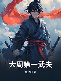 大周第一武夫的封面