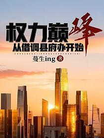 权力巅峰，从借调县府办开始的封面