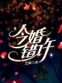 今婚错许的封面