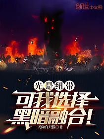 光是纽带，可我选择黑暗融合！的封面