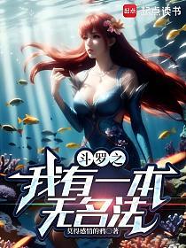 斗罗之我有一本无名法的封面