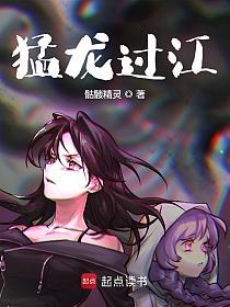 猛龙过江的封面