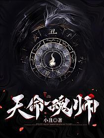 天命魂师的封面