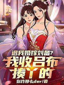 退我婚嫁刘备？我收吕布揍丫的的封面