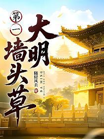大明第一墙头草的封面