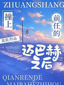 撞上前任的迈巴赫之后的封面