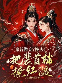 奉旨做妾？换夫！把裴首辅撩红温的封面