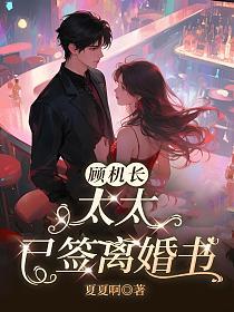 顾机长,太太已签离婚书的封面