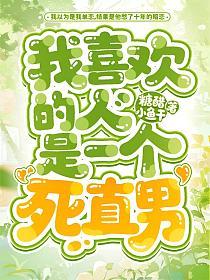 我喜欢的人是一个死直男的封面