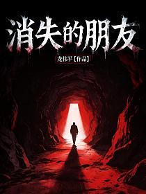 消失的朋友的封面