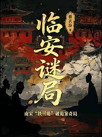 临安谜局的封面