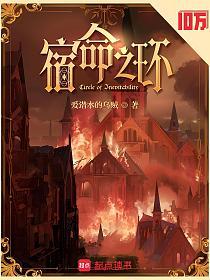 宿命之环的封面