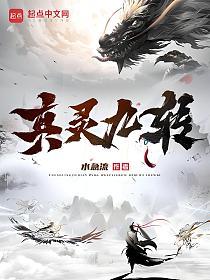 真灵九转的封面