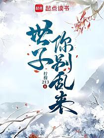 世子你别乱来的封面